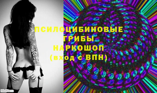 стафф Алзамай